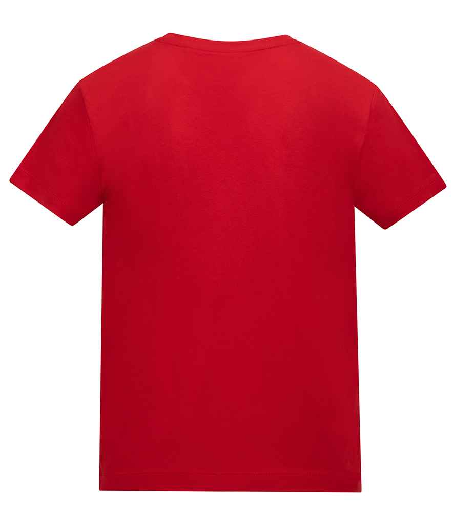 AT002B Fire Red Back