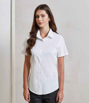 PR346 White Model
