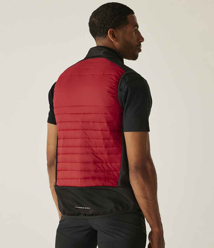 RG381 Classic Red/Black Model