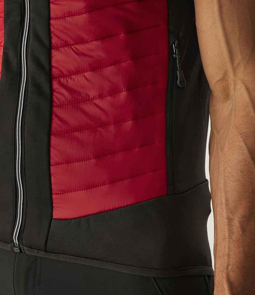RG381 Classic Red/Black Model