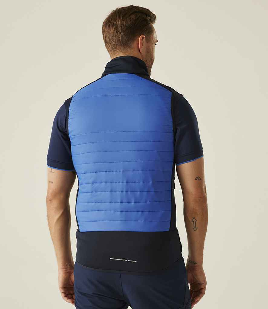 RG381 Strong Blue/Navy Model