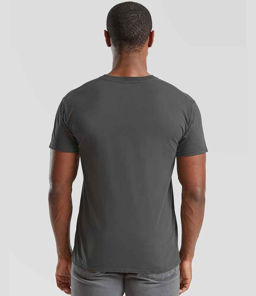 SS10 Light Graphite Model