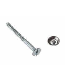 Mirror Screws - Zinc Plated