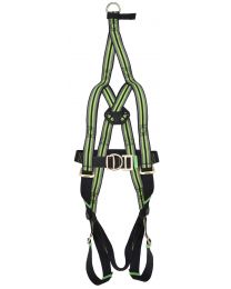 2 Point Rescue Harness